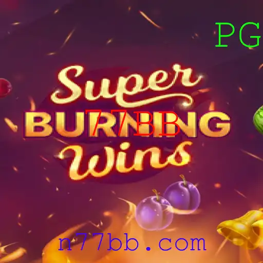 Explorando o Mundo de SuperBurningWins: O Guiado Completo e Atualizado